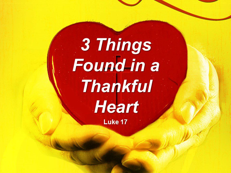 3 Things Found in a Thankful Heart
