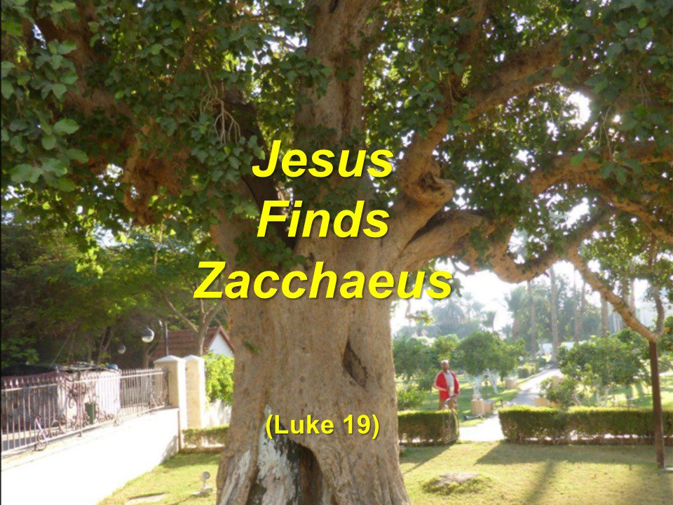 Jesus Finds Zacchaeus