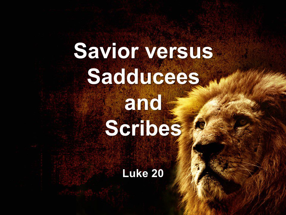 Savior versus Sadducees and Scribes