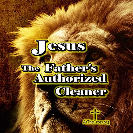Jesus The Fathers Authorized Cleaner