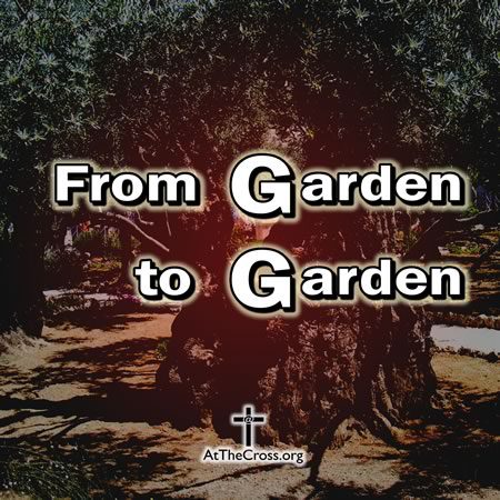 From Garden to Garden. Gethsemane