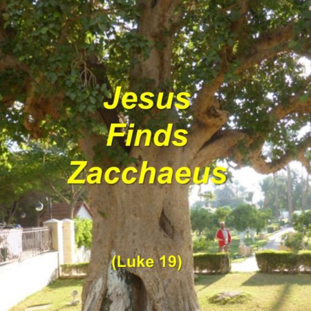 Jesus Finds Zacchaeus