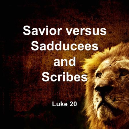 Savior versus Sadducees and Scribes