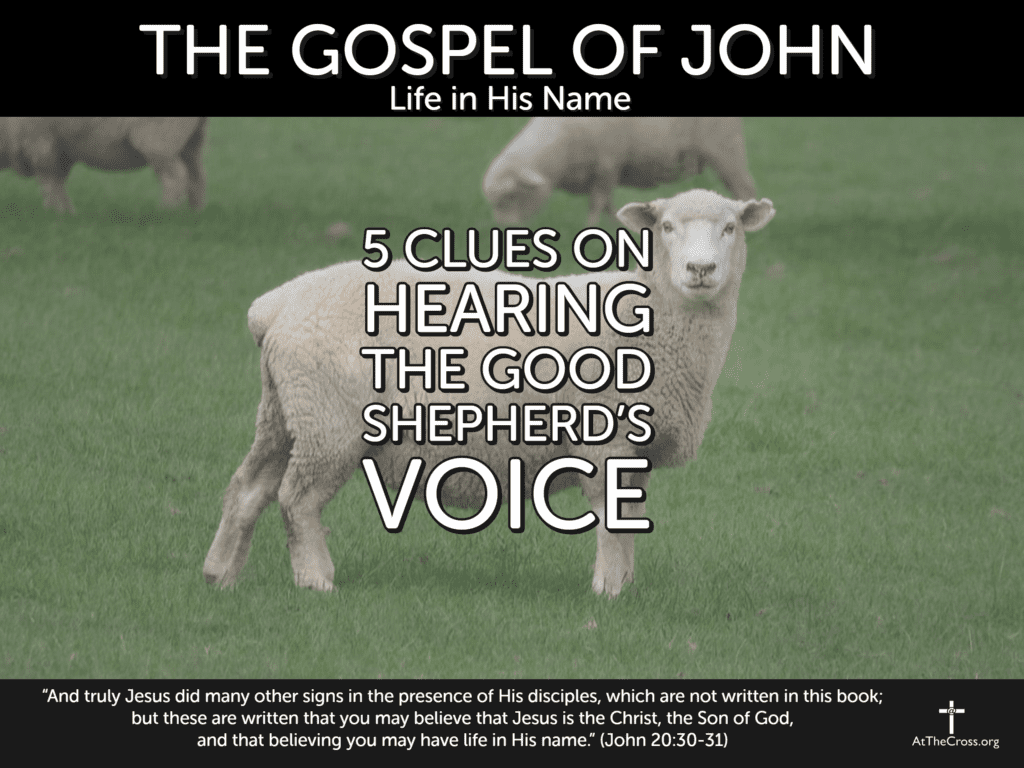 5 Clues on Hearing the Good Shepherd’s Voice
