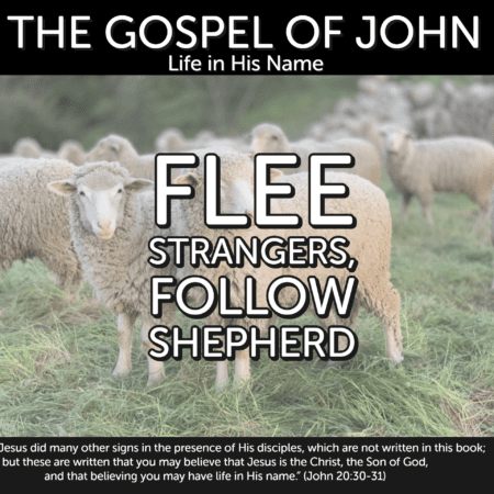 Flee Strangers, Follow Shepherd