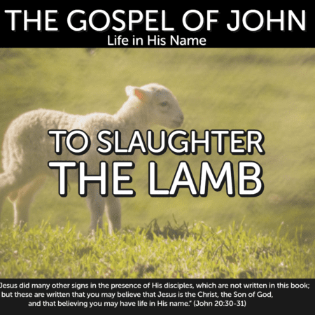 To Slaughter The Lamb