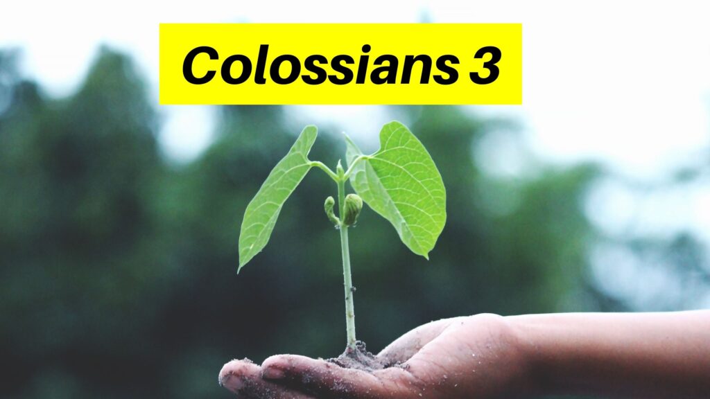 Colossians 3