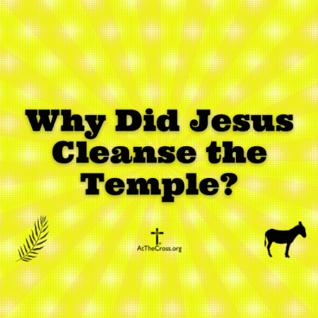 Why Did Jesus Cleanse The Temple 500x500