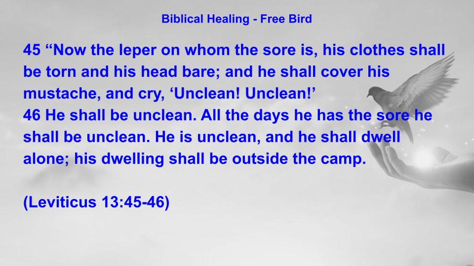Biblical Healing - Free Bird
