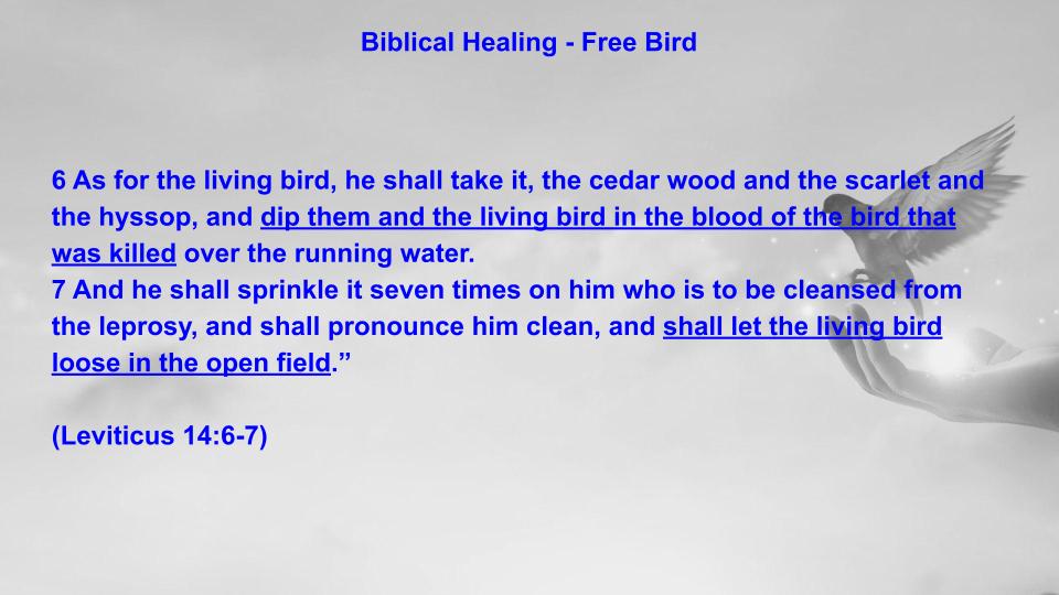 Biblical Healing - Free Bird