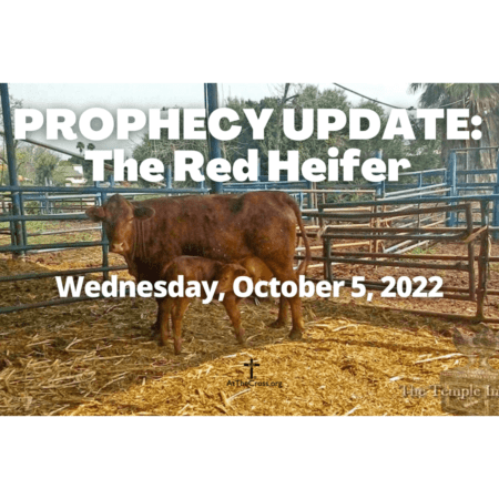 Prophecy Update-The Red Heifer
