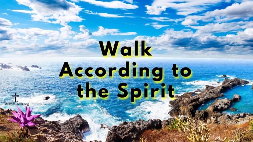 Walk According to the Spirit