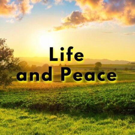 Life and Peace