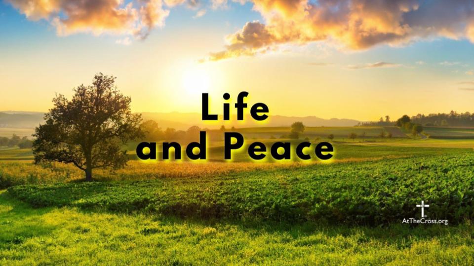 Life and Peace