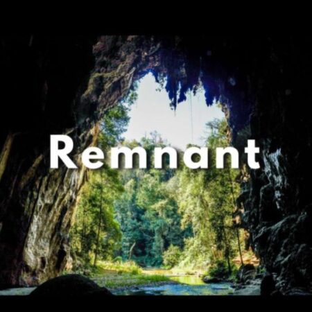 Remnant