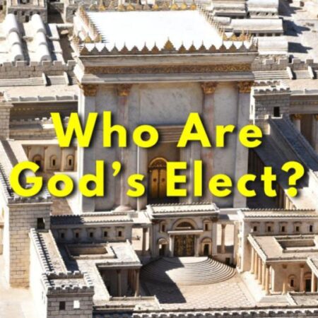 Who are God's Elect