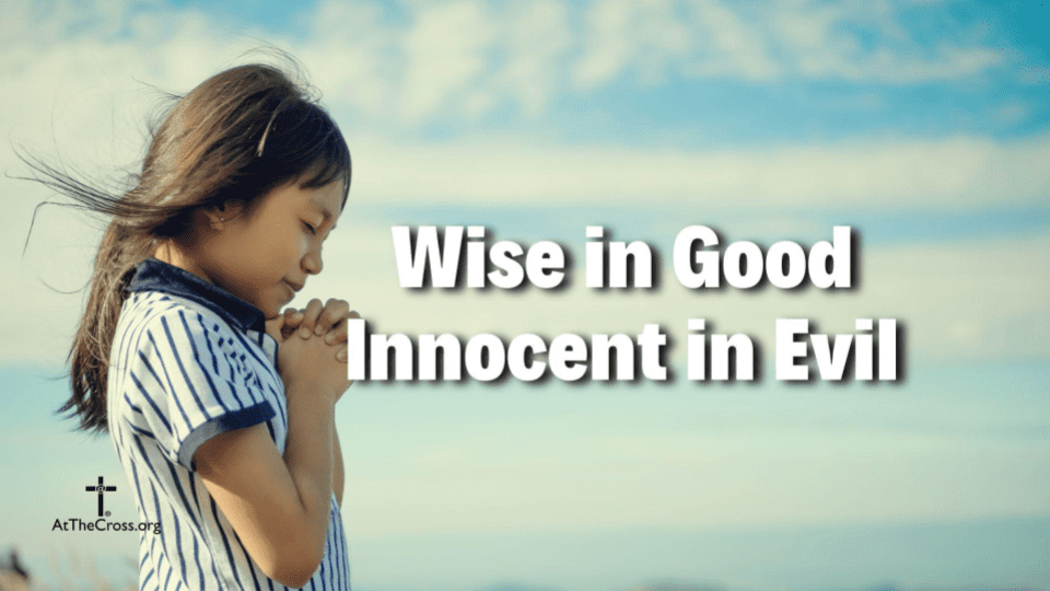Wise in Good Innocent in Evil