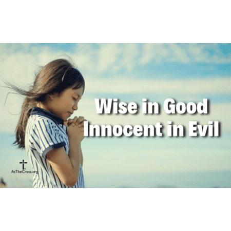 Wise in Good Innocent in Evil