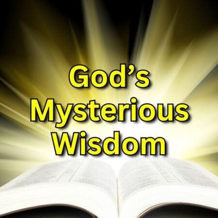 God's Mysterious Wisdom
