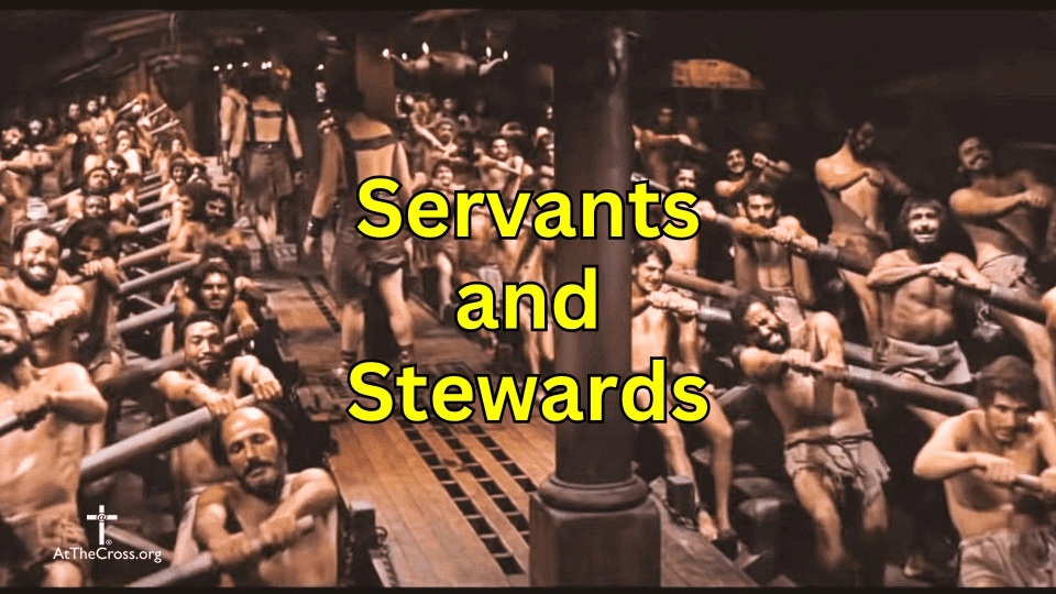 Servants and Stewards
