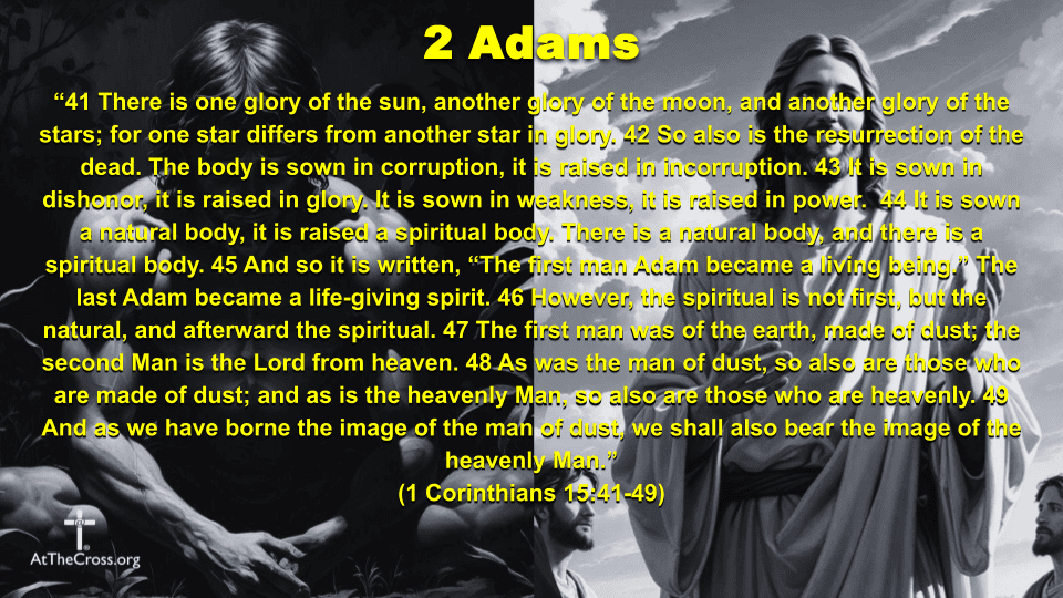 20250803 1 Corinthians 15 20 34 2 Adams (6)