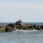 Baptism Sunday Aug 31 2025 IMG 1865