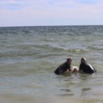 Baptism Sunday Aug 31 2025 IMG 7916