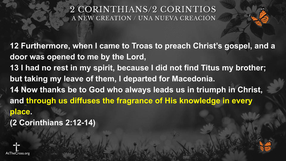 Fragrance of Christ