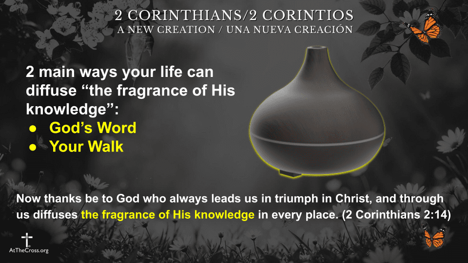 Fragrance of Christ