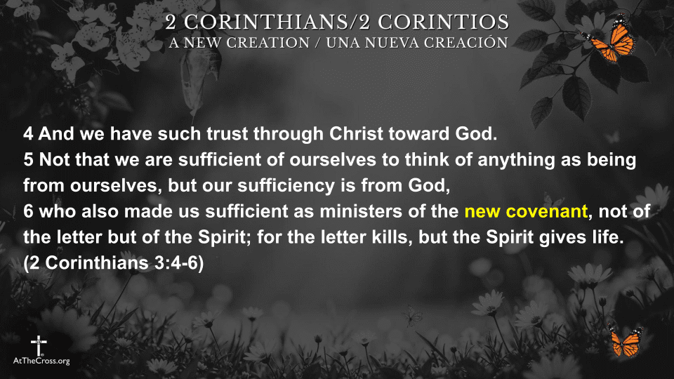 Life in the New Testament