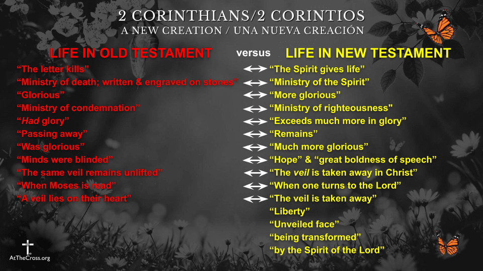 Life in the New Testament