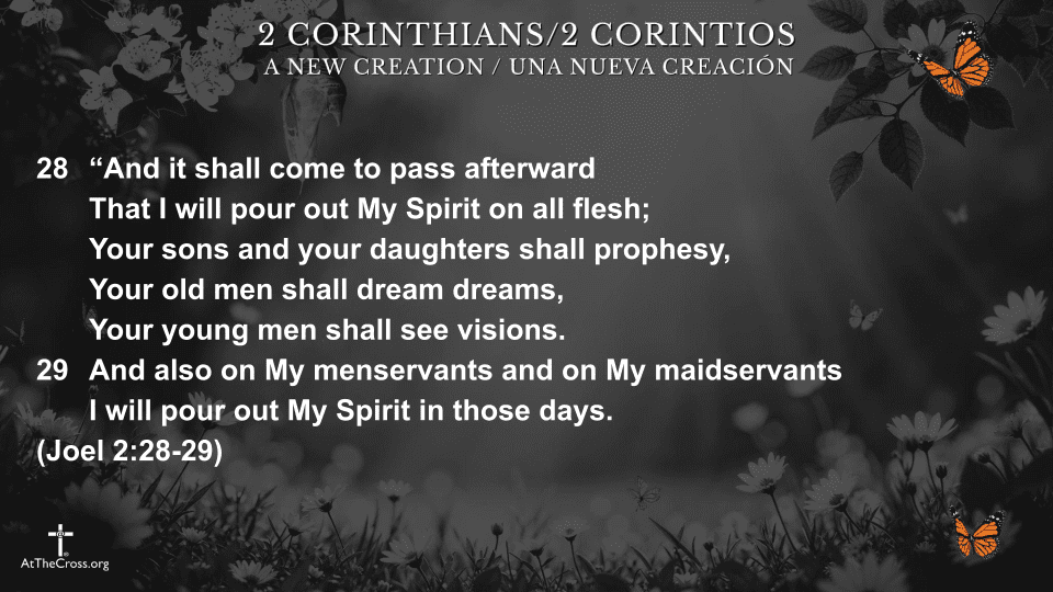 Life in the New Testament