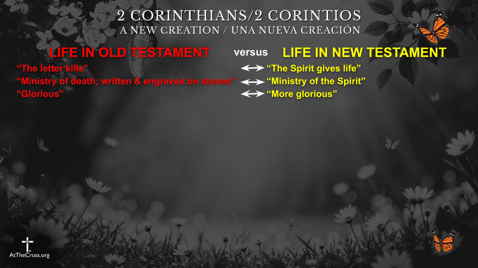 Life in the New Testament