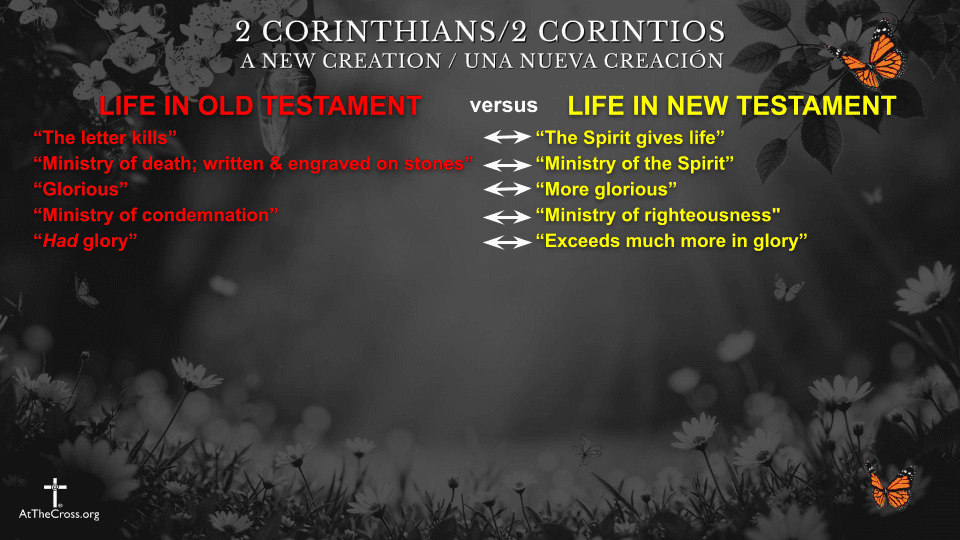 Life in the New Testament