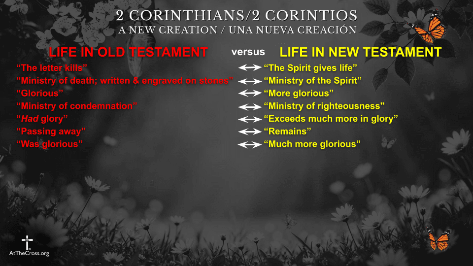 Life in the New Testament