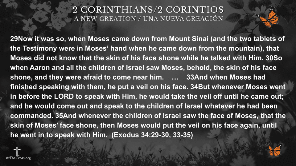 Life in the New Testament