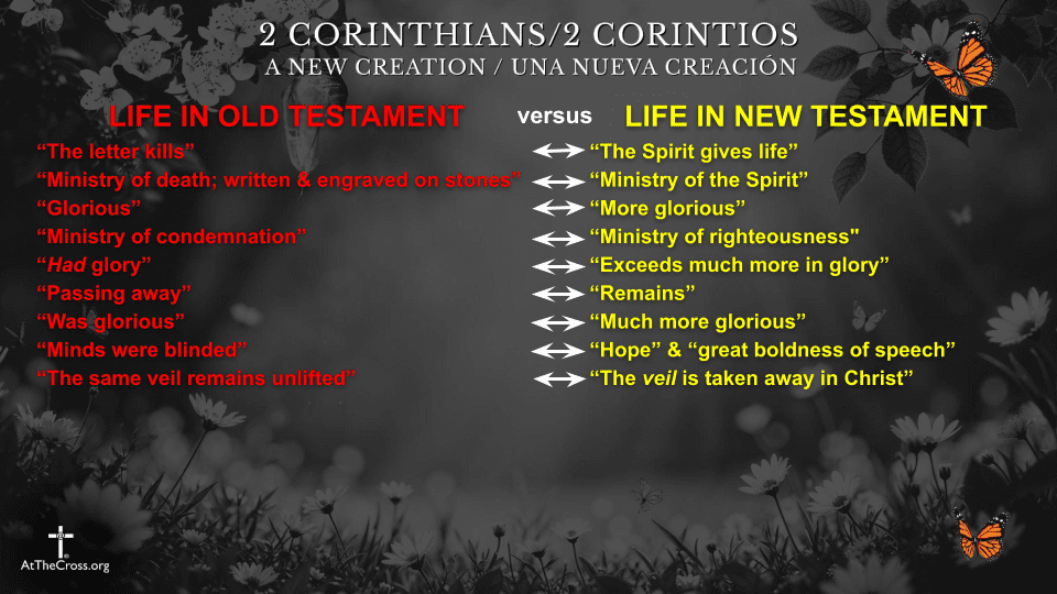Life in the New Testament