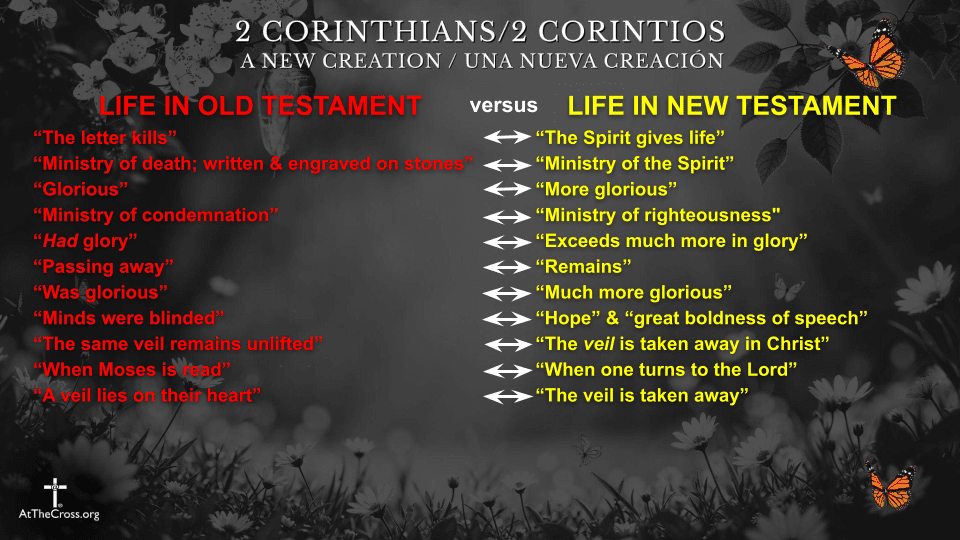 Life in the New Testament