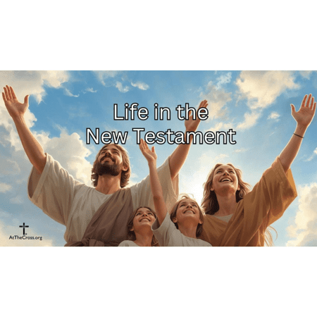 Life in the New Testament