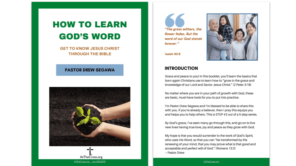 Your Path - Step 2 - LEARN GOD'S WORD