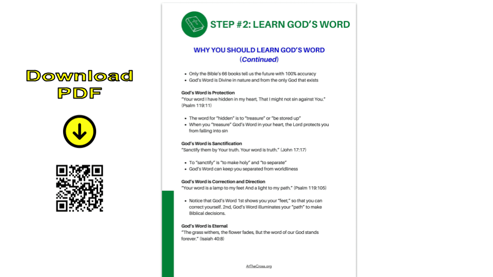 Your Path - Step 2 - LEARN GOD'S WORD