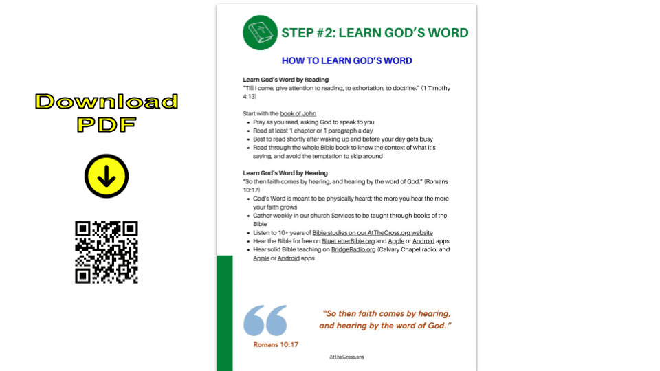 Your Path - Step 2 - LEARN GOD'S WORD