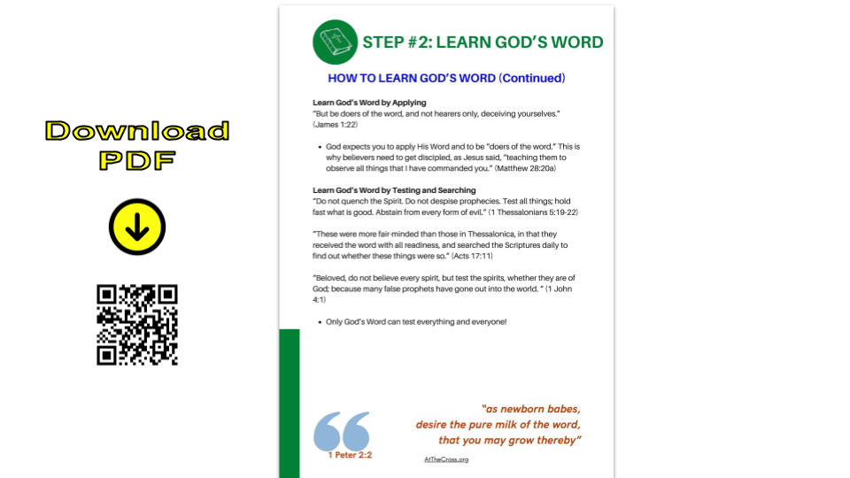 Your Path - Step 2 - LEARN GOD'S WORD
