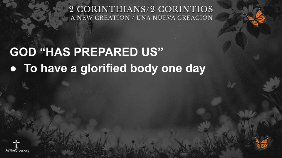 Well Pleasing to Him