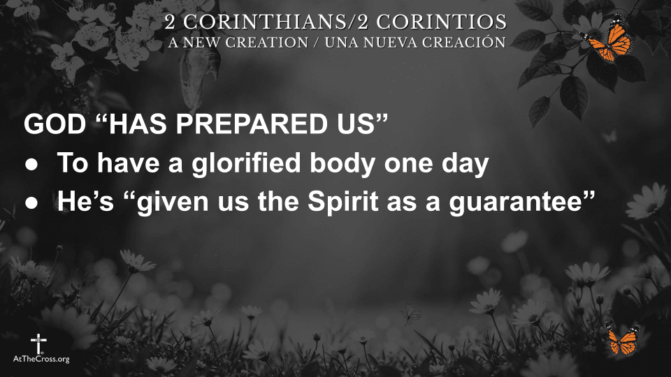 Well Pleasing to Him