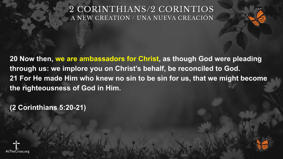 5 New Creation Identities