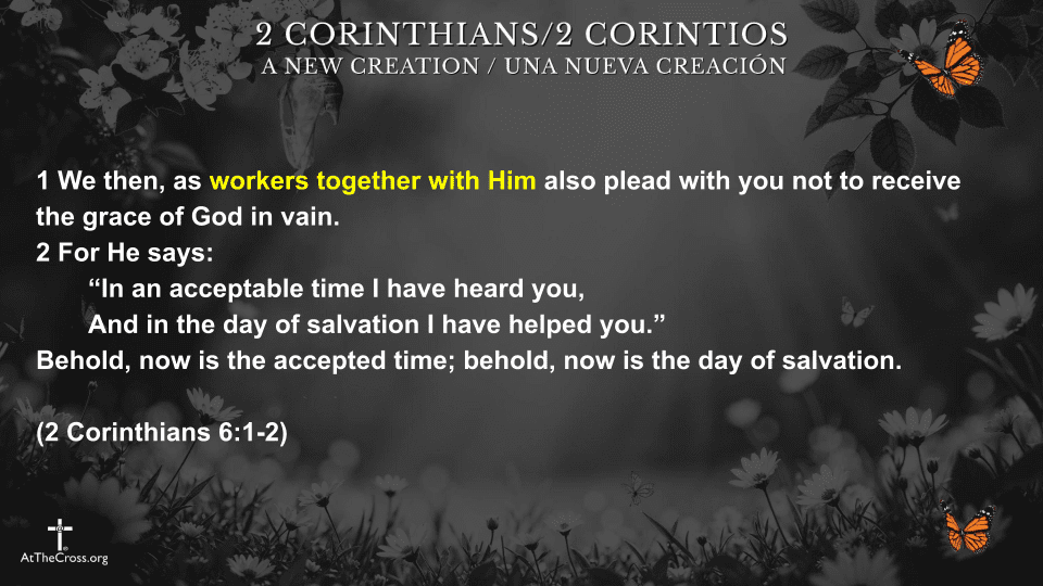 5 New Creation Identities