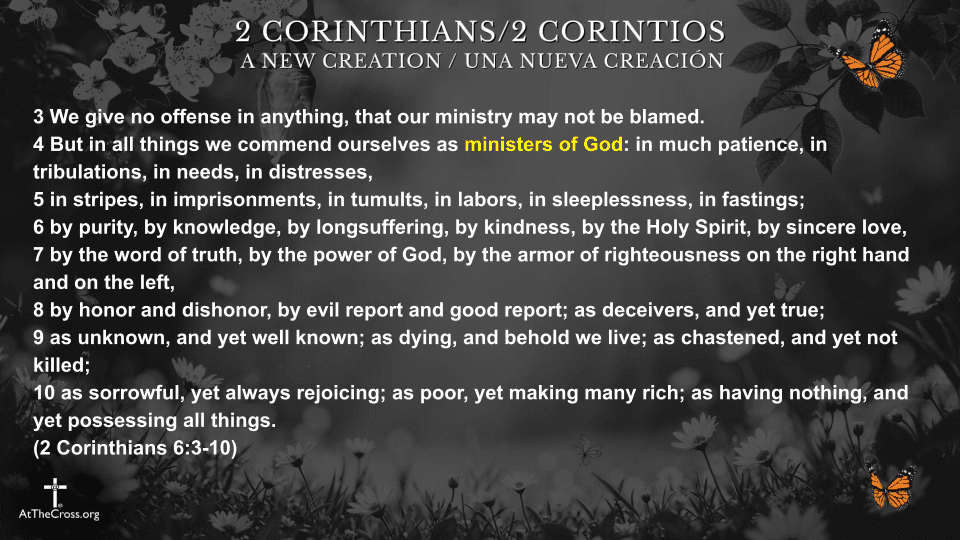 5 New Creation Identities