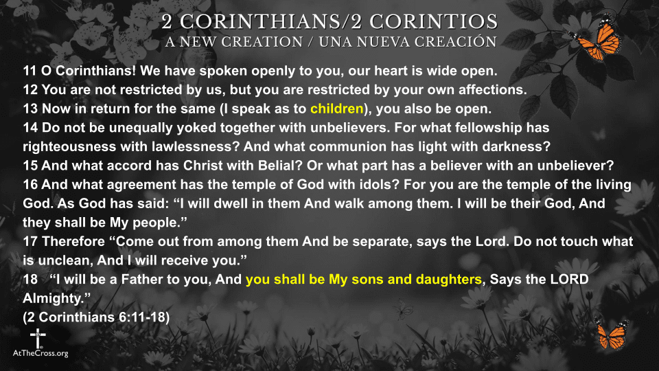 5 New Creation Identities