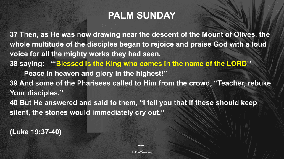 Palm Sunday 2026